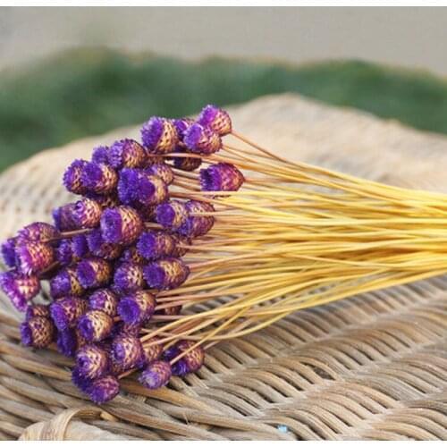 50pcs/lot Home Decor Dried Flower Bouquet Natural Dried Flowers Wedding Party Decorative Photography Props