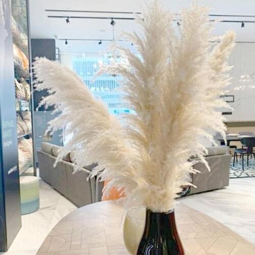 Dried Pampas Grass Natural Phragmites Flowers Decor Wedding Flower Bunch Natural Big Reed Plants For Home Christmas Decorations