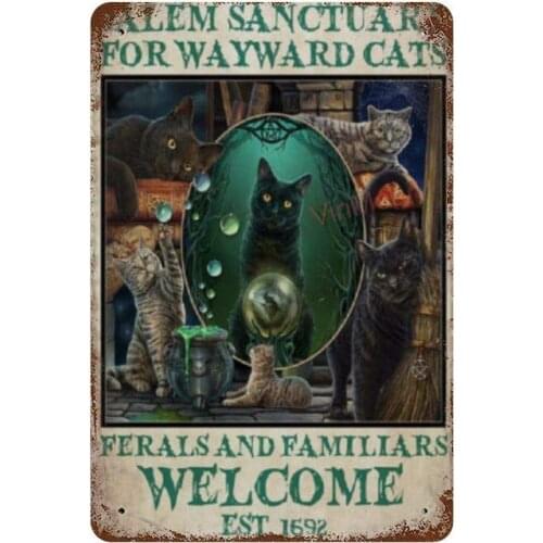 Tin Sign,Black Cat Witch Salem Sanctuary Tin Sign Wall Art Decor Metal Sign, Public Sign, Decoration Sign 8 X 12 Inches