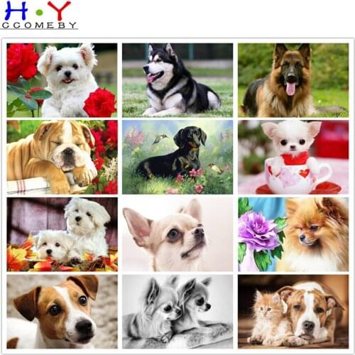 HYCCOMEBY Full Square Diamond Painting Dog 5D DIY Animal Diamond Embroidery Cross Stitch Kit Handmade Gift Home Decoration