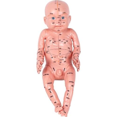 Children Massage Model Training Doll With Acupoint Simulation Infant Body Meridian Teaching Babay Care, Head, Arm, Leg Rotatable