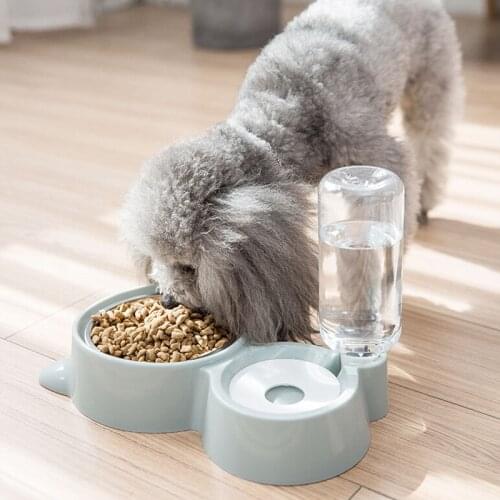 Cat Bowl Dog Water Feeder Bowl Small and Medium Dog Food Bowl Cat Automatic Drinking Fountain Pet Stainless Steel Double Bowl