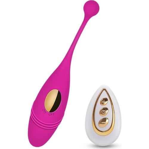 Panties Wireless Remote Control Vibrator Panties Vibrating Egg Wearable Dildo Vibrator G Spot Clitoris Sex Toy for Women