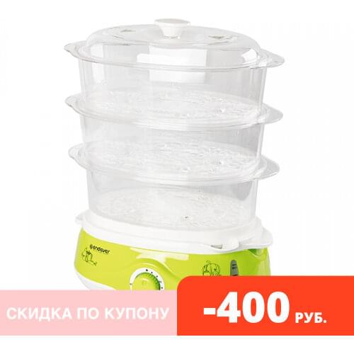 Endever Electric Steamers