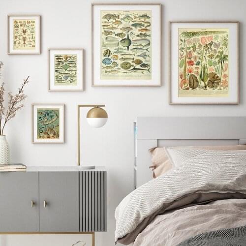 Marine Life Vintage Poster Print Canvas Painting Biology Education Wall Art Picture Modern Study Room Home Decoration No Frame