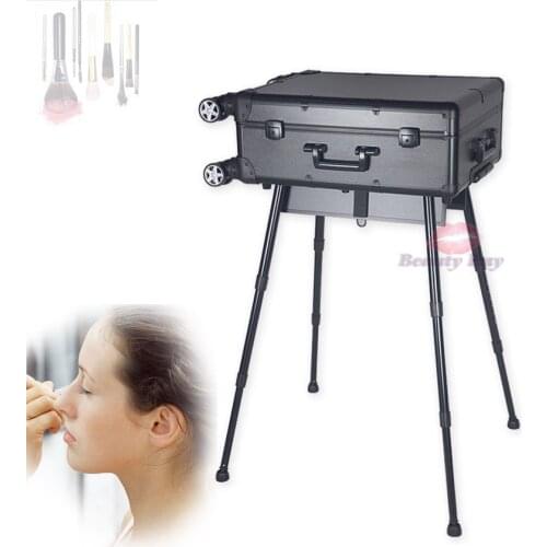 Professional black and pink aluminium trolley makeup case with lights bulbs stands and mirror, makeup studio