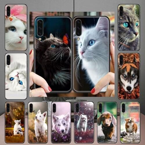 Cat Dog Beautiful Cute Phone case For Samsung Galaxy A 3 5 7 8 10 20 21 30 40 50 51 70 71 E S 2016 2018 4G black painting