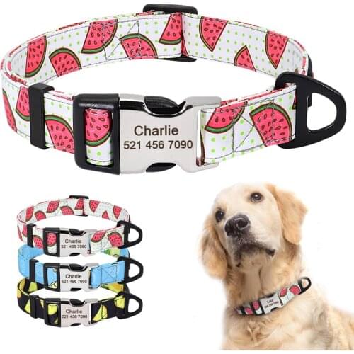 Custom Personalized Dog Collar Nylon Printed Pet Dog ID Tag Collars Engraved Puppy Collar Leash Set For Small Medium Dogs