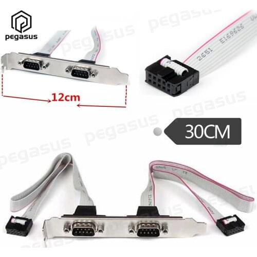 DB9 to 10 Pin Header Male to Female Dual Serial Port RS232 Cable 0.3 Meters