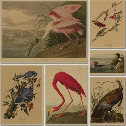 Vintage Bird Canvas Painting Audubon Bird Posters Pink Flamingo White Egret Animal Wall Art Pictures Living Room Unframed Decor