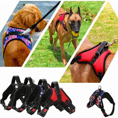 Dog Cat Harness Pet Adjustable Personalized Vest Walking Lead Leash for Puppy Polyester Mesh Harness for Small Large Dog
