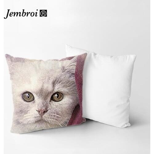 Painting Dog Cat Cartoon Decorative Cushion Cover 45x45cm Animal Printed Chair Car Sofa Hug Throw Blue Pillow Cases Home Decor