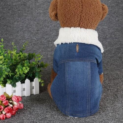 Autumn And Winter Two-legged Clothes Pet Clothes Denim Plus Velvet Jacket Thick Warm Two-legged Cotton Jacket Coat Clothing