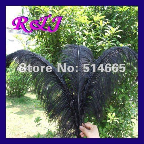 Wholesale 20PCS Quality Natural OSTRICH FEATHERS 26-28inch 65-70cm balck Color EMS Free Shipping