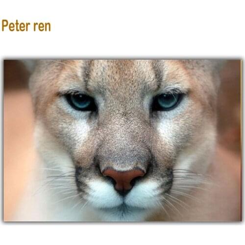 Peter ren Diamond painting Diamante Pictures of rhinestones Round \ Square drill Mosaic Full Canvas for embroidery "Female lion"