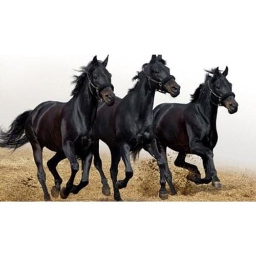 Mosaic Gift Kits For Adults Dark Horse 5D Diamond Craft Painting Diy Diamond Embroidery Diamond Kits Wall Art Decor TT502