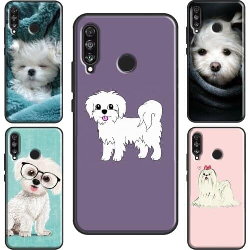 Maltese Dog Puppy Case For Huawei P30 Lite P20 P40 P Smart Y6 Y7 2019 Nova 5T Honor 8A 8X 9X 10i 20 Pro