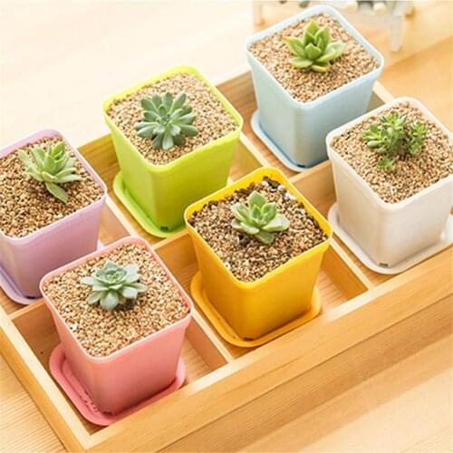 Small Flower Pot 1pcs Mini Colorful Squar Thicken Planter Pot Trays Plastic Pots Creative Small Square Pots for Succulent Plants