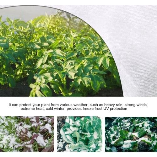 Non-woven Insulation Cover Freeze Protection Plant Blankets Greenhouse Film Resist UV Rays And Most Sunlight Cordon In Winter
