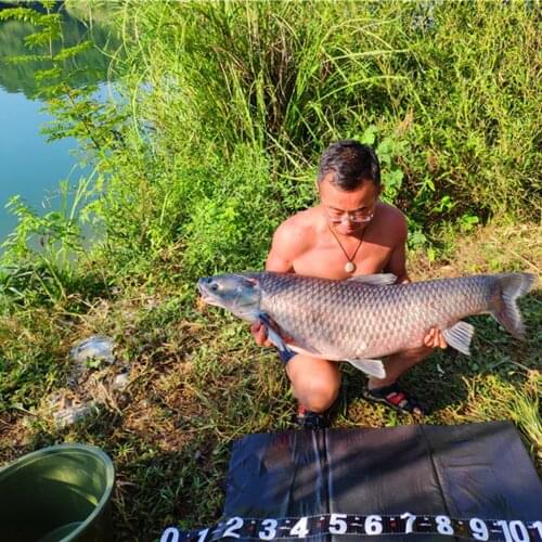 Portable Folding Unhooking Mat Professional Carp Fishing Floor Landing Mat Splash Mat Waterproof Fishing Accessories Green