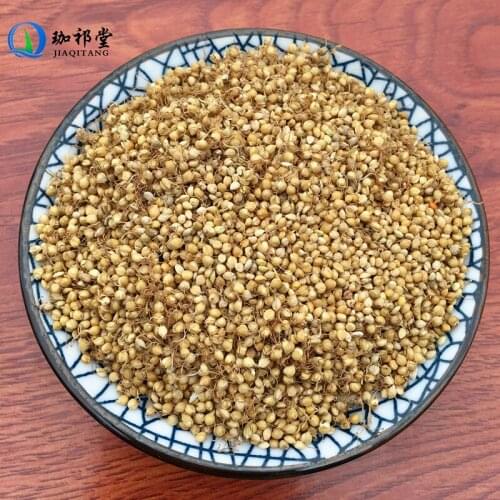 Ricegrain Sprout Fructus Oryzae Germinatus Sheng Gu Ya