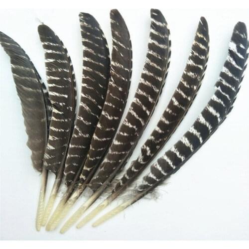 Scare Real Natural Eagle feathers 16-18 Inch(20-40CM)Quality Eagle bird feather For Wedding decoration diy jewelry Plumes