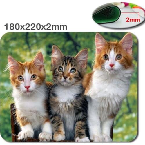 Mairuige Mairuige Hot Selling Cute Kittens Design Customize High Quality Fashion Skid Durable Mouse Pad
