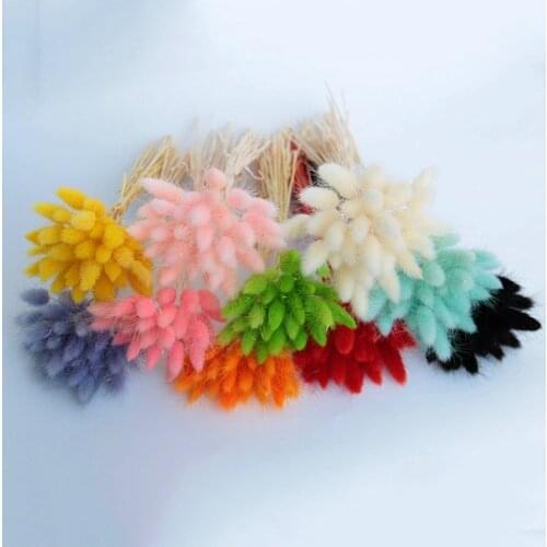 30Pcs/lot Gradient Lagurus Ovatus Natural Dried Flowers Bouquet Wedding Home Decoration Rabbit Tail Grass Real Flowers
