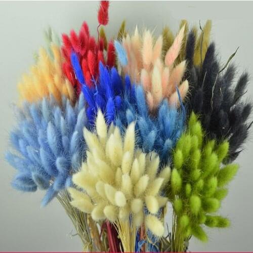 A bunch of beautiful green grass 20pcs/hand, natural flower gradient, wedding, Easter decorations, rabbit tails, real grass flow