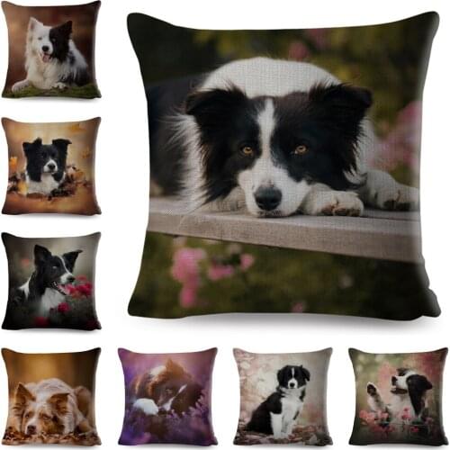 Scotland Border Collie Cushion Cover for Sofa Home Car Decor Cute Pet Animal Dog Printed Pillowcase Pillowcase Pillow Case 45*45