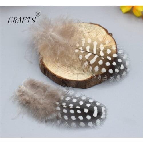 Mixing 20 pieces of dyed quality guinea fowl feathers 2-4 "/ 5-10cm long DIY Jewelry Decoration Accessories