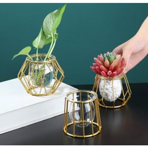 Multi-shape Moden Iron Art Glass Vase Metal Plant Holder Terrarium Hydroponic Plant Flower Vase Home Decoration
