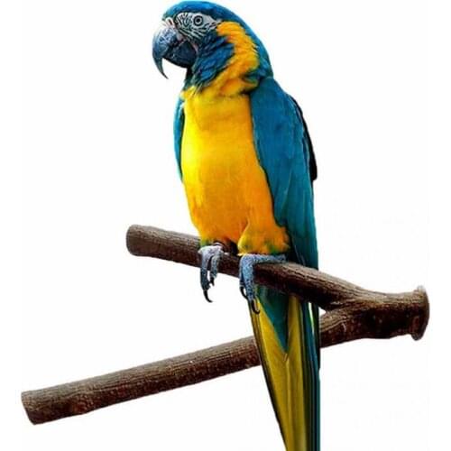 1Pc 25cmPet Parrot Raw Wood Fork Tree Branch Stand Rack Toy Hamster Branch Perches For Bird Cage New