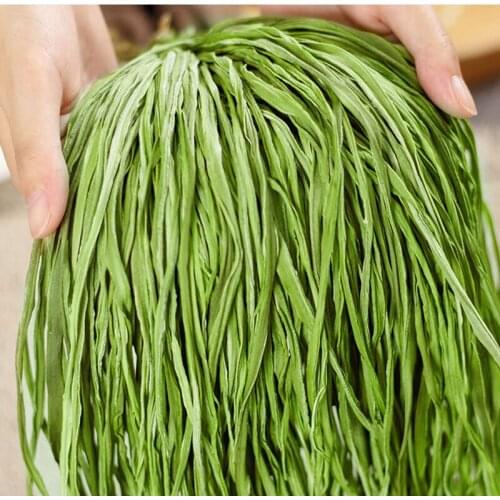 500g premium leafless tribute vegetables, fresh tribute vegetables, naturally sun-dried without additives