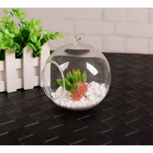 Hydroponics Planter Flower Pot Glass Clear Vase Hanging Ball For Succulent Planting Home Wedding Decor 8cm/10cm