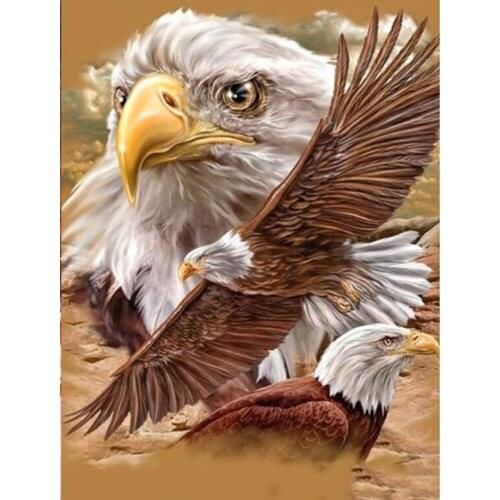 Kexinzu DIY 5D Diamond Painting Eagle Animal Handcraft Art Kits Full Drill Square Home Decoration Embroidery Picture