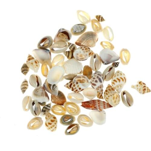 1bag(30g) Small Miscellaneous Conch Natural Craft Sea shell Aquarium Fish Tank Landscape Home Decor DIY bottle