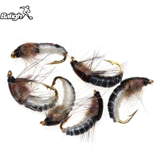 6PCS Fishing Lures Fly Deer Hair Beetle Trout Fly Fishing Fly Bait #12 Woolly Worm Brown Caddis Nymph Fishing Lure
