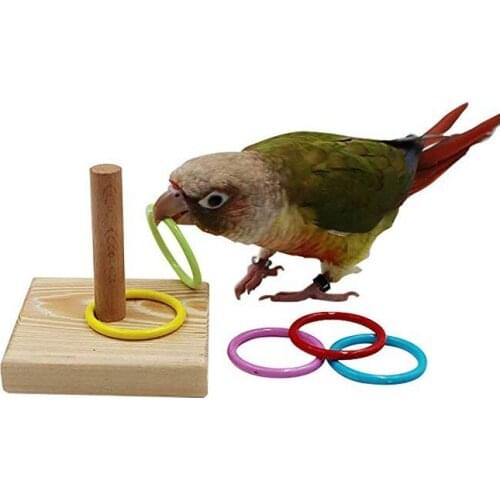 Parrot bite toy toy bird Wooden plastic loop parrot educational toys
