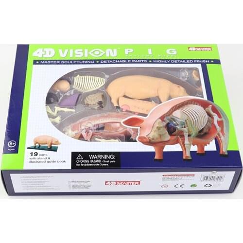Pig teaching model 4D MASTER puzzle assembly toy animal biological organ anatomy medicine