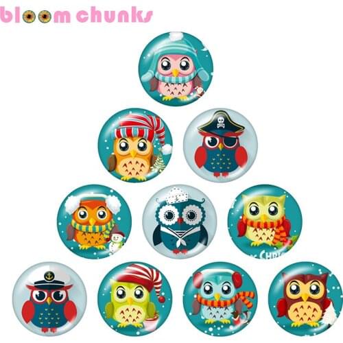 Owl Cartoon 10pcs mixed 12mm/18mm/20mm/25mm Round photo glass cabochon demo flat back Making findings S2174