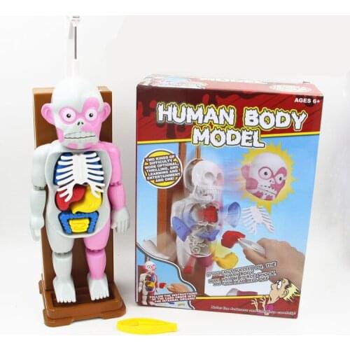 [Funny] Novelty Gag Toy Human anatomy Trick Joke Gift For kids assembled toy Fun Games the terrorist human body model 3D puzzles
