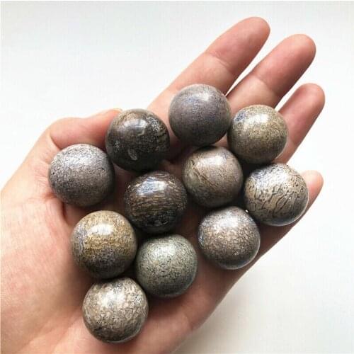 1/2pcs Natural Dinosaur Bone Fossil Crystal Ball Sphere Madagascar Healing Decoration Natural Quartz Crystals