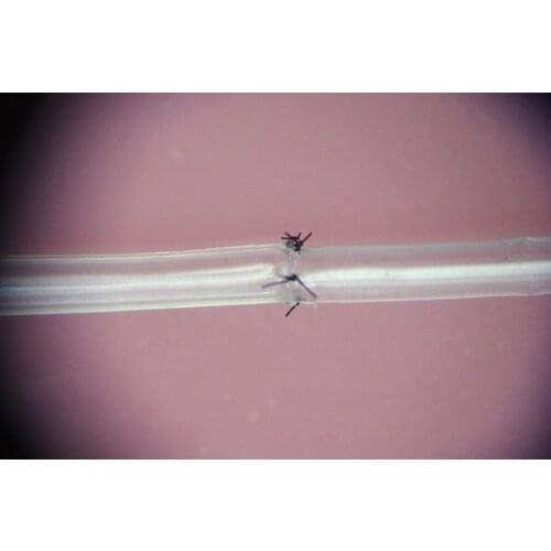 6pcs 1mm/2mm Microsurgical suture training simulation of blood vessel model ultra-thin 180mm length