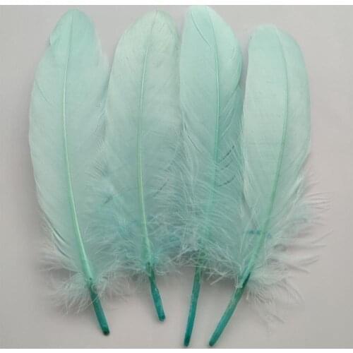 Wholesale 20pcs Beautiful Mint Green Hard Goose Feathers 15-20cm/6-8inch Christmas Decoration Clothing Shoes Hat Accessories