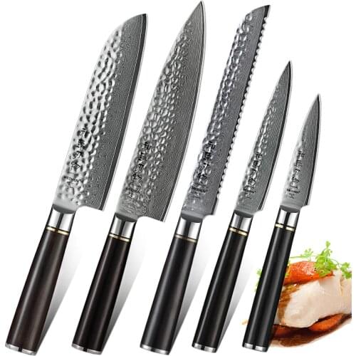 HEZHEN 1-5 PCS Pro Kitchen Knife Sets Japanese Damascus Steel VG Chef Bread Santoku Utility Paring Knives Cook Tool Ebony Handle