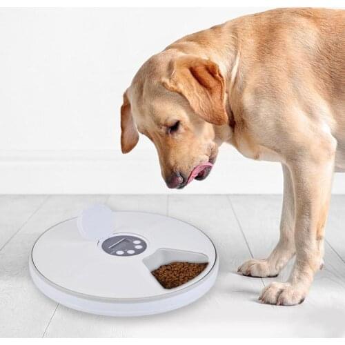 Automatic Pet Feeder Timing Feeder 6 Meal 6 Cell Pet Dry Food Dispenser Dish Feed 24 Hours Timer for Dog Cat Pet Supplies
