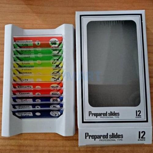 12Pcs Prepared Plastic Microscope Slides Biological Specimen with 1 Box for Children Kids School Students Enlighten Education