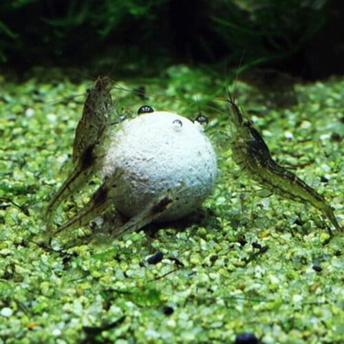 3pcs Nitrobacteria Bio Bacterial Ball Clean Water For Aquarium Fish Tank Pond