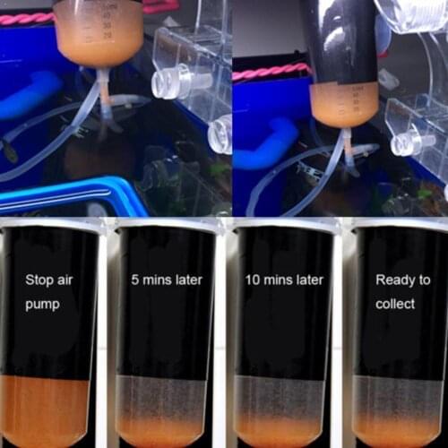 Fairy shrimp egg artemia alive hatch tool air pump Shrimp Baby baby food fish aquarium fresh small Brine D2H4